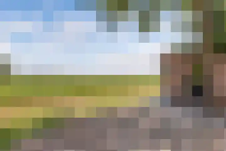 Middenvaart 5 Echten thumbnail 45