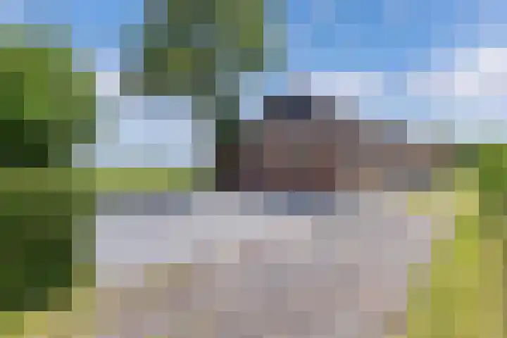Middenvaart 5 Echten thumbnail 50