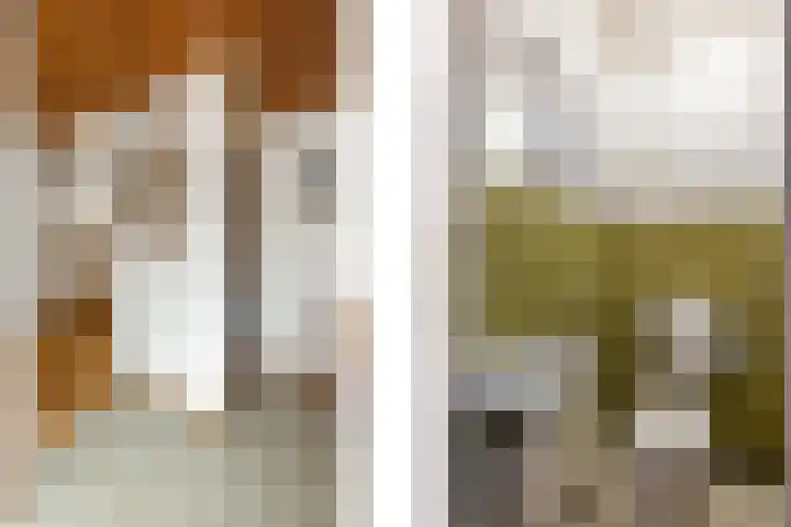 Middenvaart 5 Echten thumbnail 6