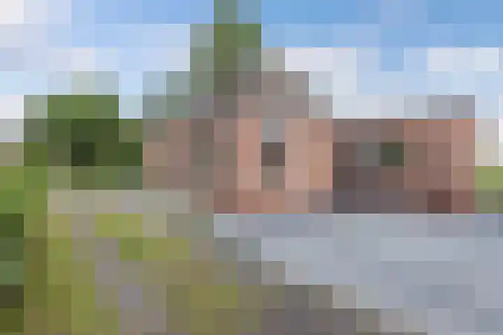 Middenvaart 5 Echten thumbnail 6