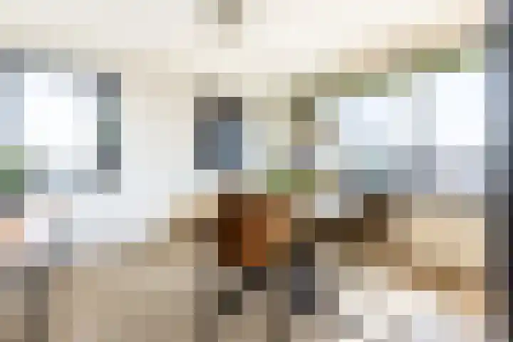 Middenvaart 5 Echten thumbnail 7