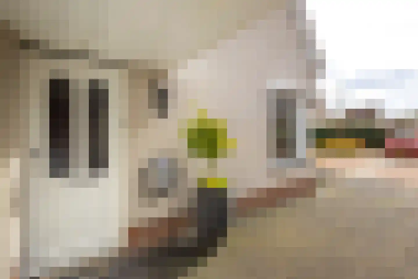 Middenveer 4 Sliedrecht thumbnail 31