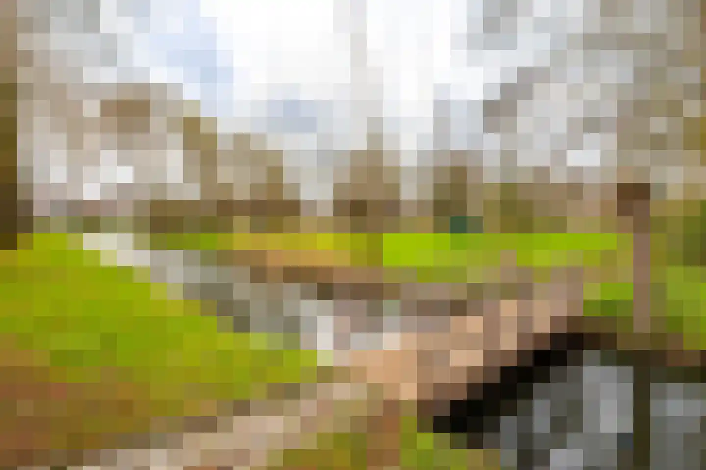 Middenveer 4 Sliedrecht thumbnail 33