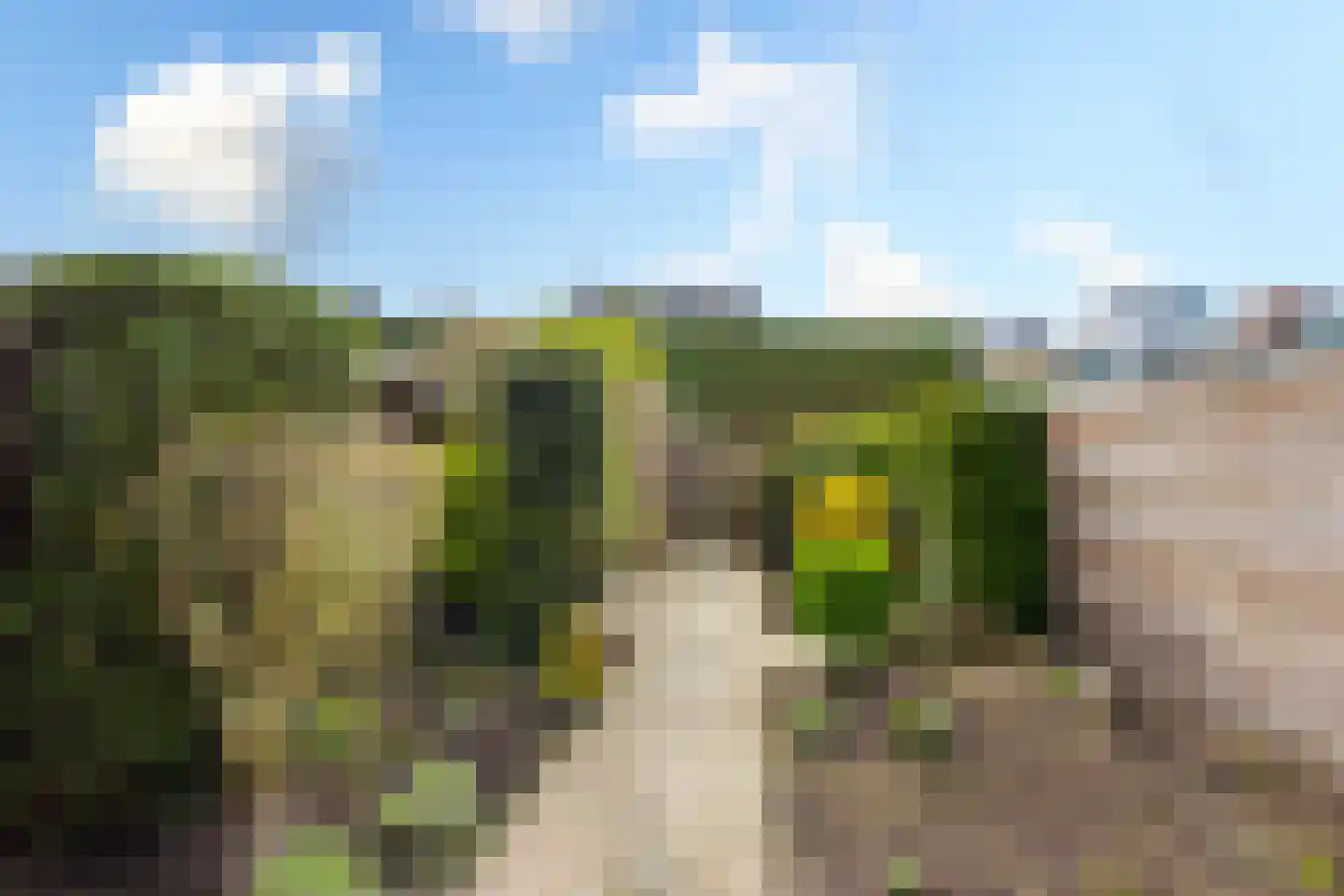 Middenveer 48 Sliedrecht thumbnail 20