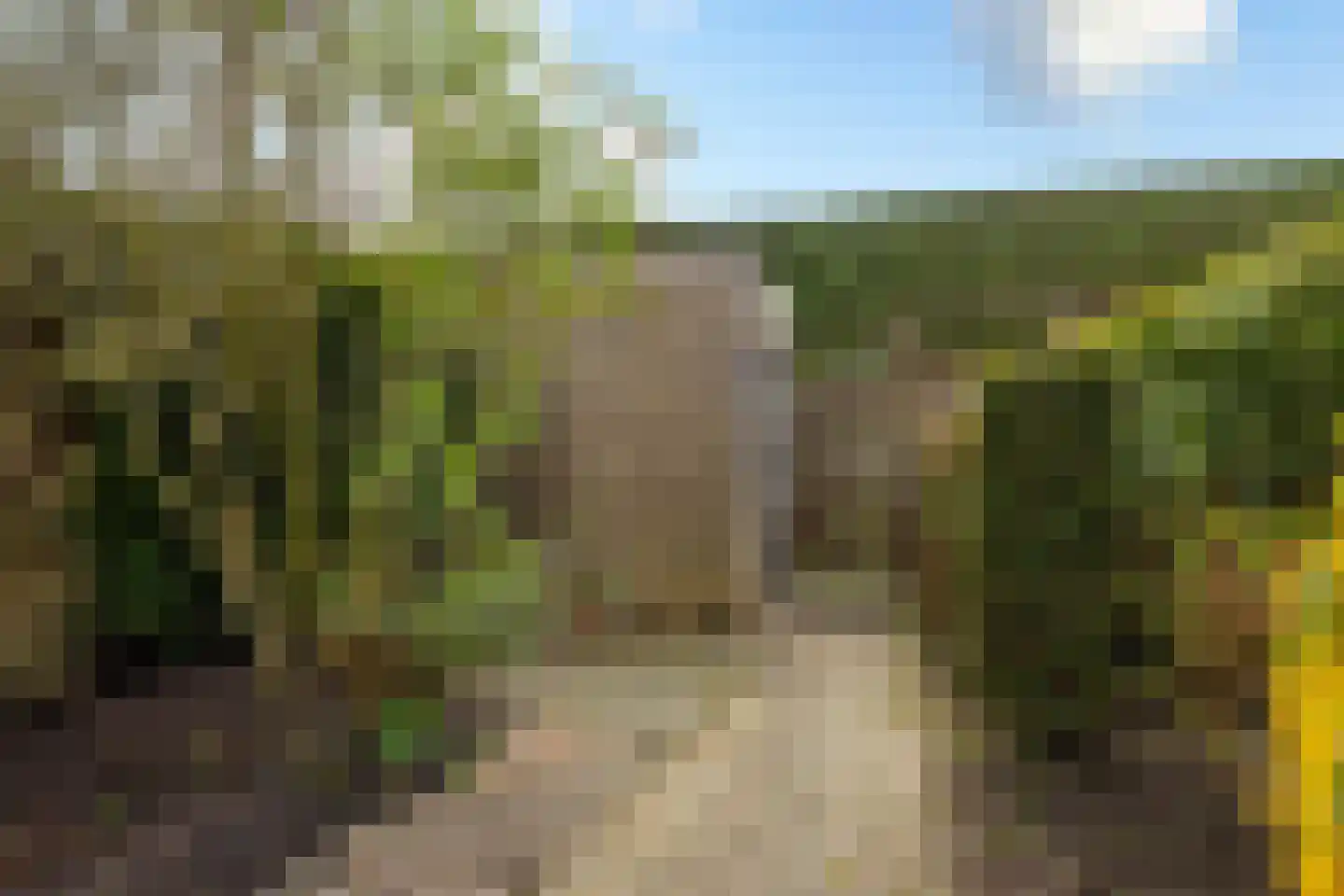 Middenveer 48 Sliedrecht thumbnail 21