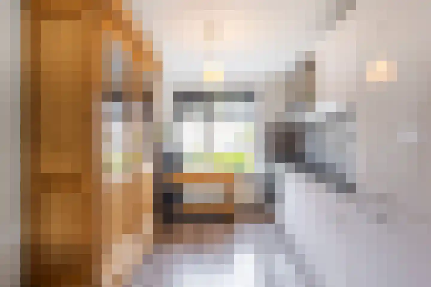 Middenveer 48 Sliedrecht thumbnail 6