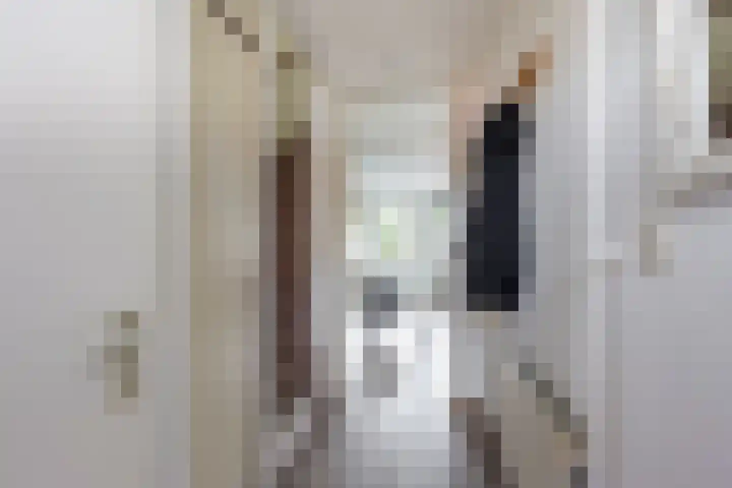 Middenveer 48 Sliedrecht thumbnail 9