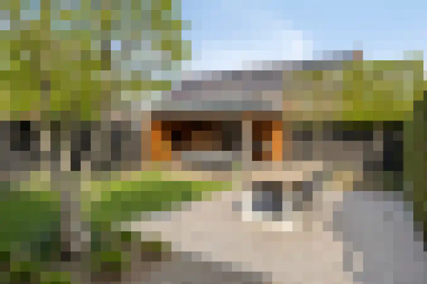 Middenveld 17 Den Dungen thumbnail 32