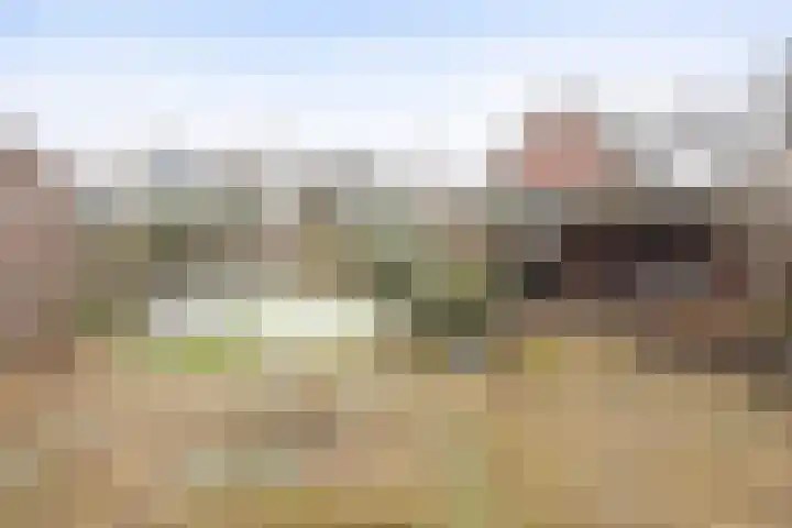 Middenveld 18 Boekel thumbnail 28