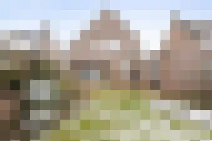 Middenveld 18 Boekel thumbnail 31