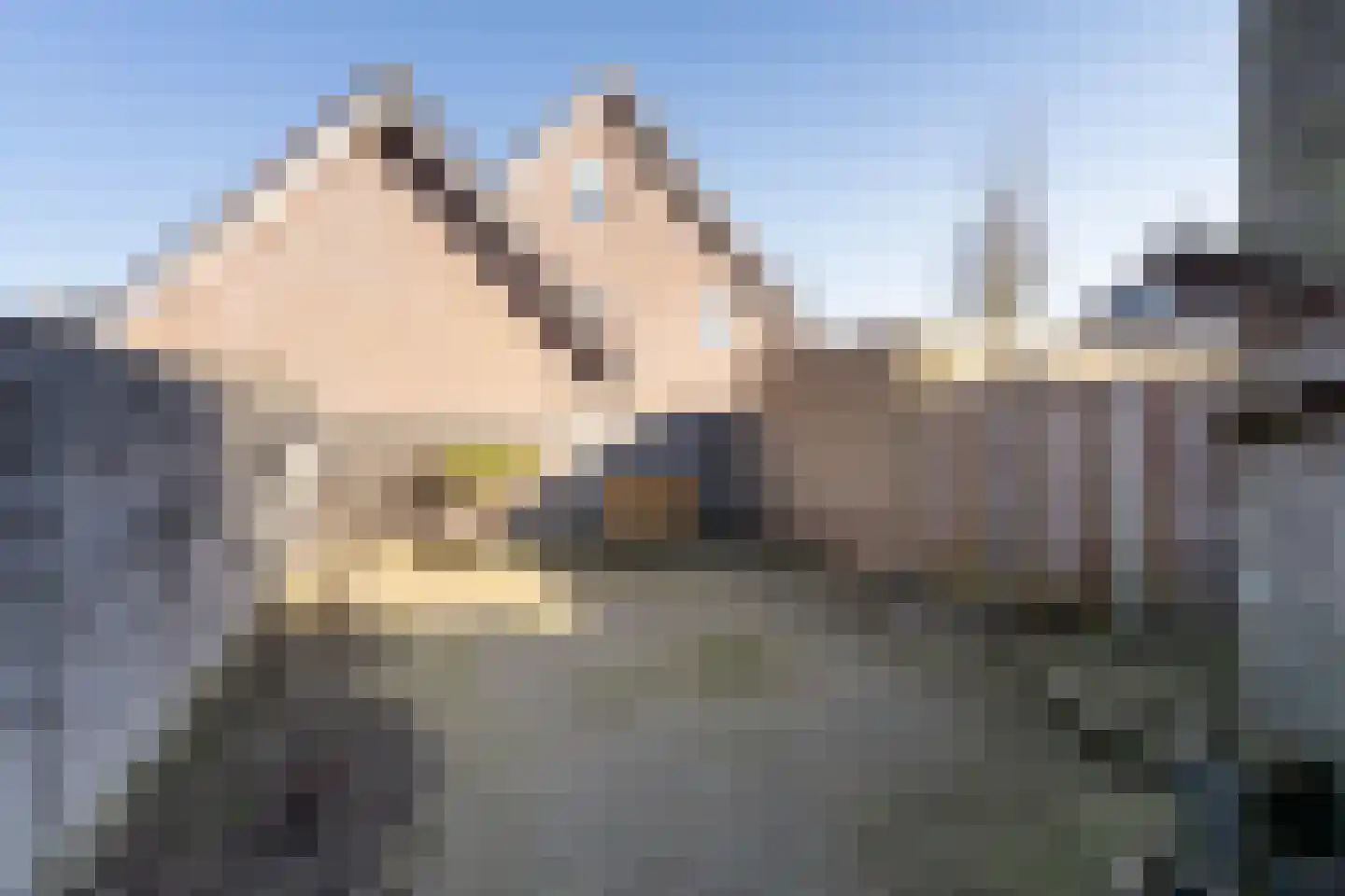 Middenveld 43 Almkerk thumbnail 24