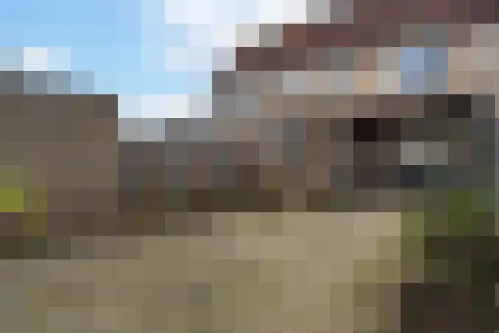 Middenveld 43 Almkerk thumbnail 24