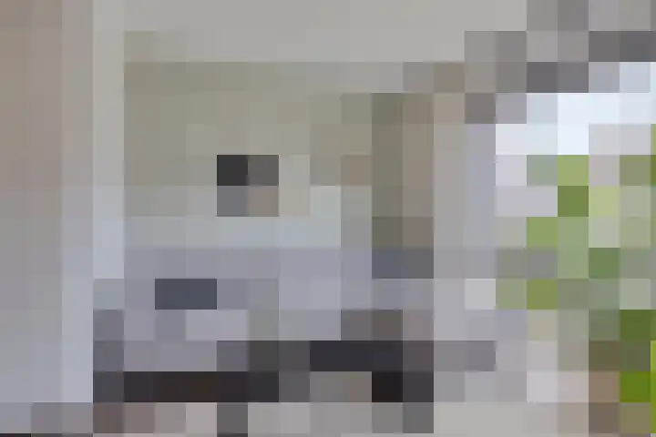 Middenveld 6 Den Dungen thumbnail 10