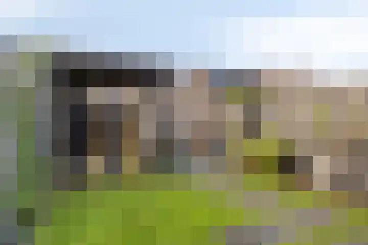 Middenveld 6 Den Dungen thumbnail 30