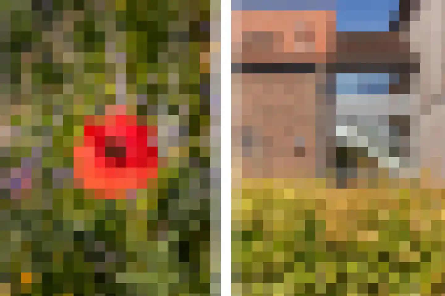 Middenvliet 23 B Julianadorp thumbnail 33