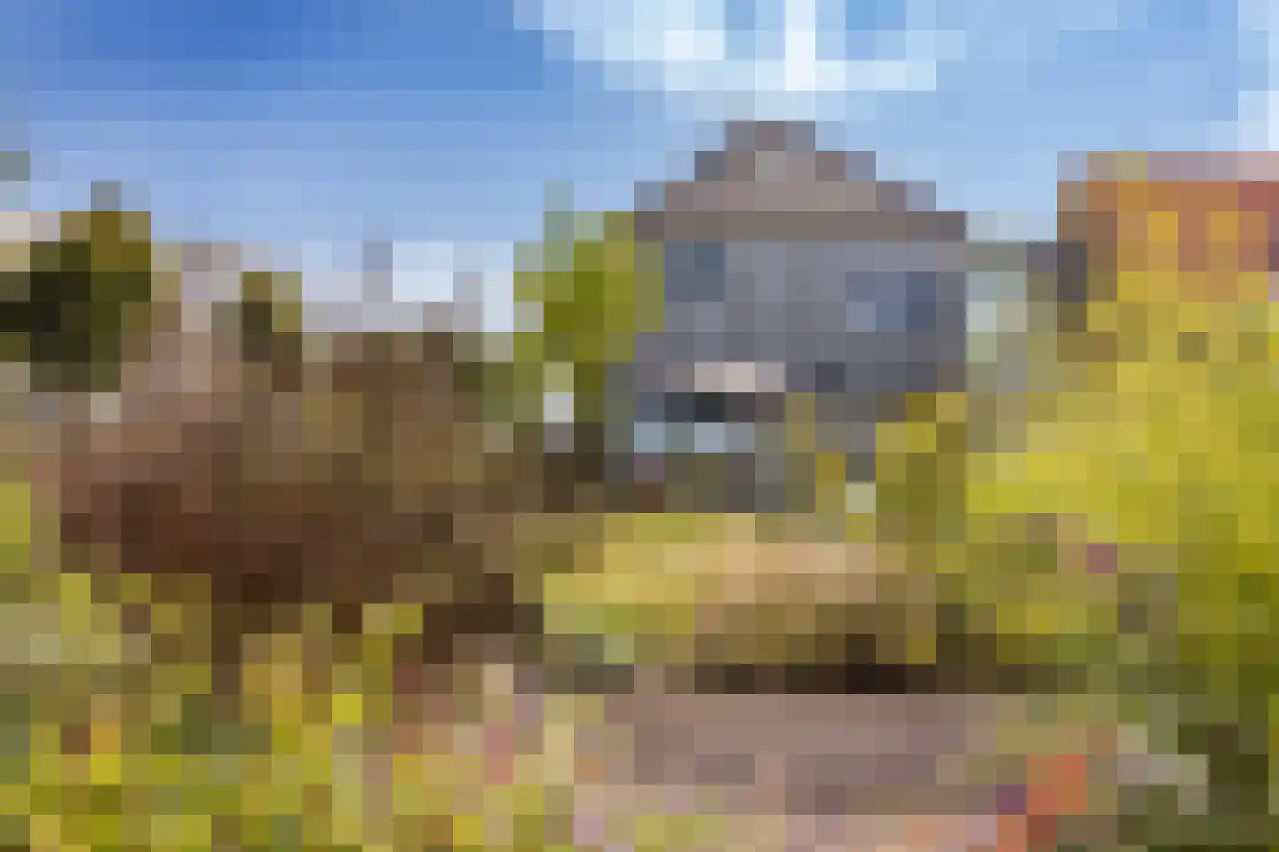Middenvliet 23 B Julianadorp thumbnail 38