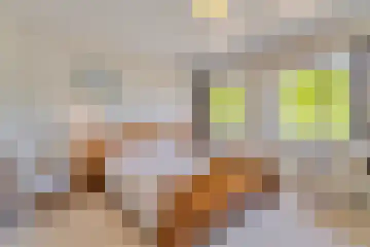 Middenwal 13 Steenbergen thumbnail 17