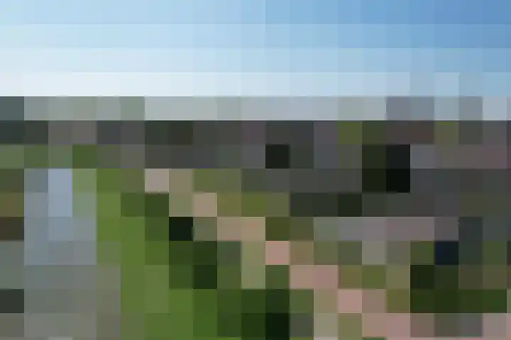 Middenwal 13 Steenbergen foto 2