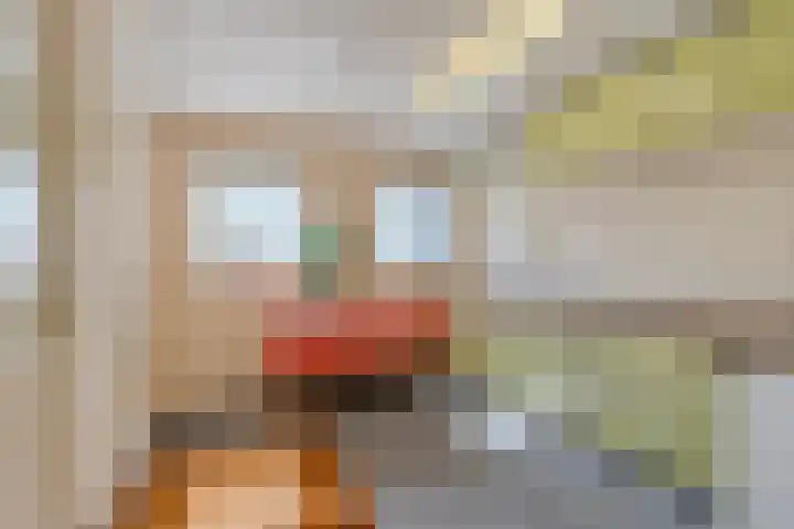 Middenwal 13 Steenbergen thumbnail 26