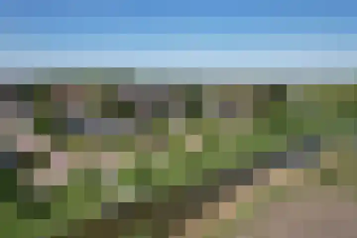 Middenwal 13 Steenbergen thumbnail 28