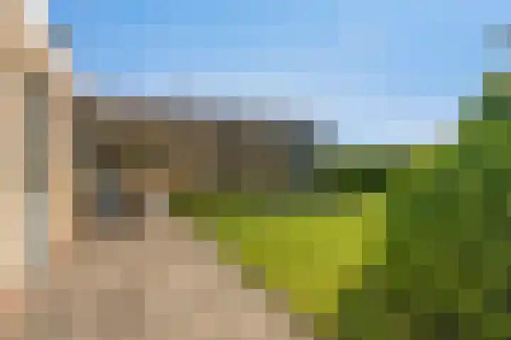 Middenwal 13 Steenbergen thumbnail 30