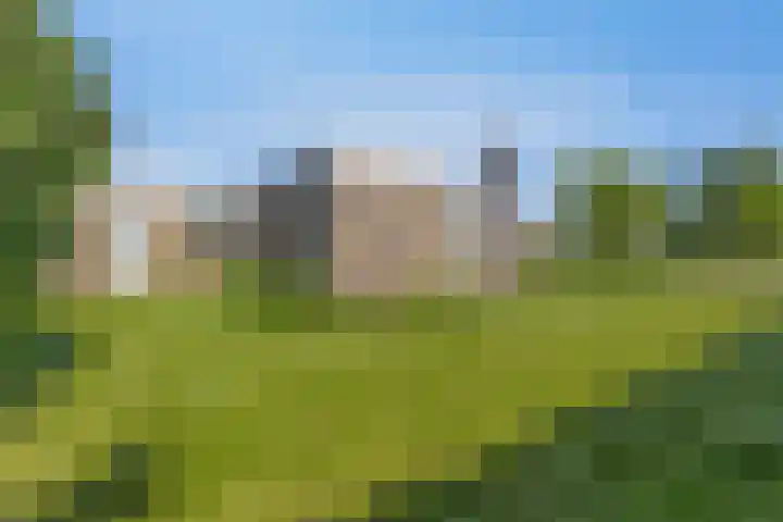 Middenwal 13 Steenbergen thumbnail 31