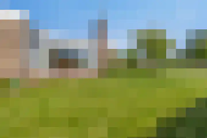 Middenwal 13 Steenbergen thumbnail 33