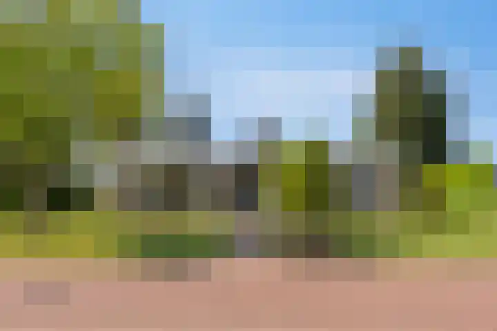 Middenwal 13 Steenbergen thumbnail 35