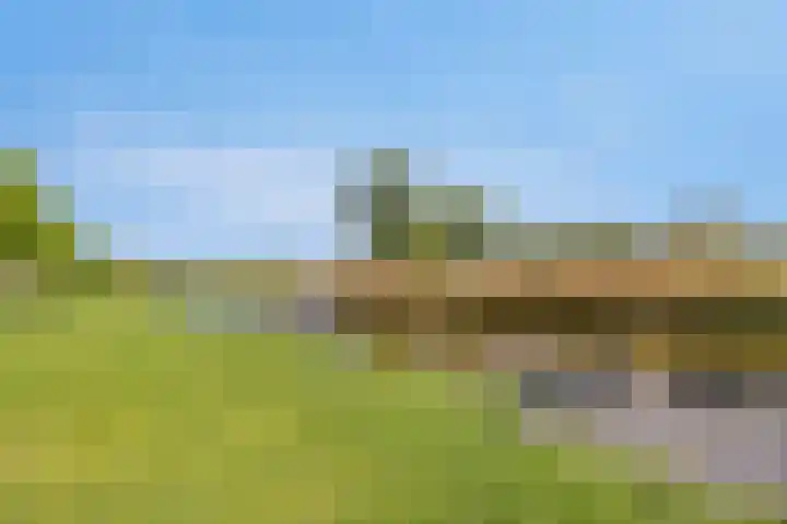 Middenwal 13 Steenbergen thumbnail 36