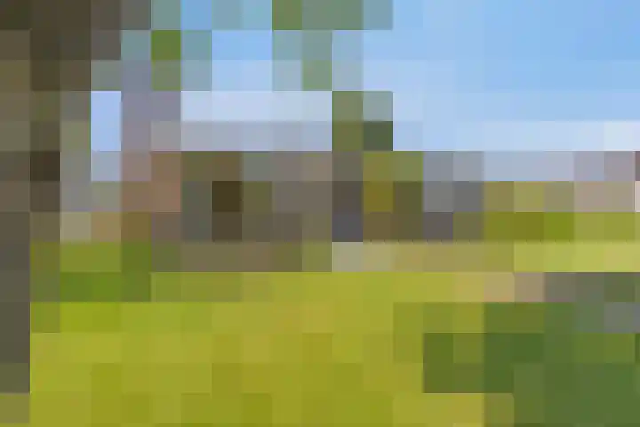 Middenwal 13 Steenbergen thumbnail 4