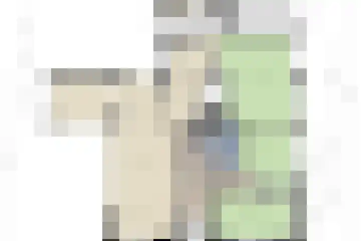 Middenwal 13 Steenbergen thumbnail 41