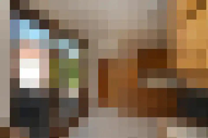 Middenwal 5 Steenbergen thumbnail 14