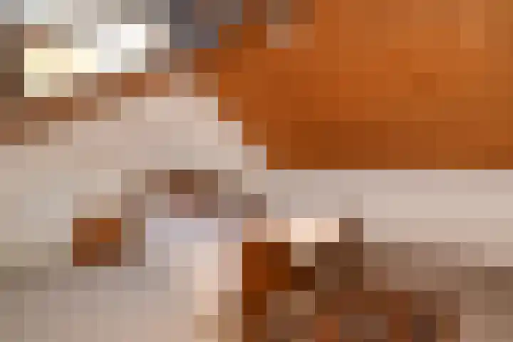 Middenwal 5 Steenbergen thumbnail 16