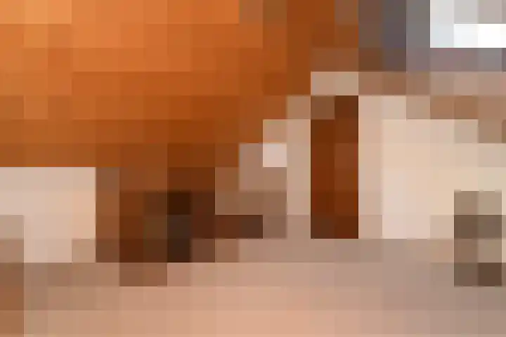 Middenwal 5 Steenbergen thumbnail 17