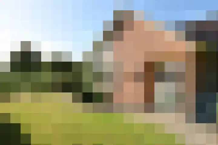 Middenwal 5 Steenbergen thumbnail 18