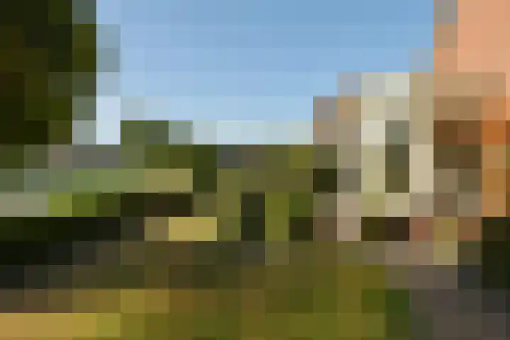 Middenwal 5 Steenbergen thumbnail 20