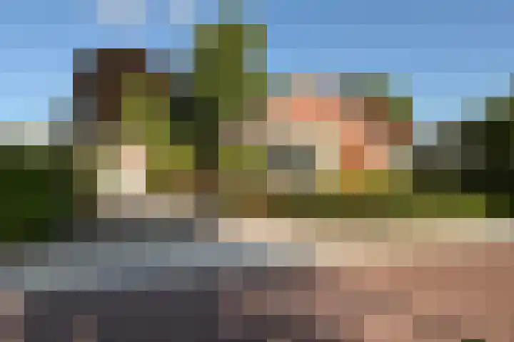Middenwal 5 Steenbergen thumbnail 24
