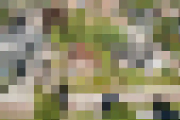 Middenwal 5 Steenbergen thumbnail 25
