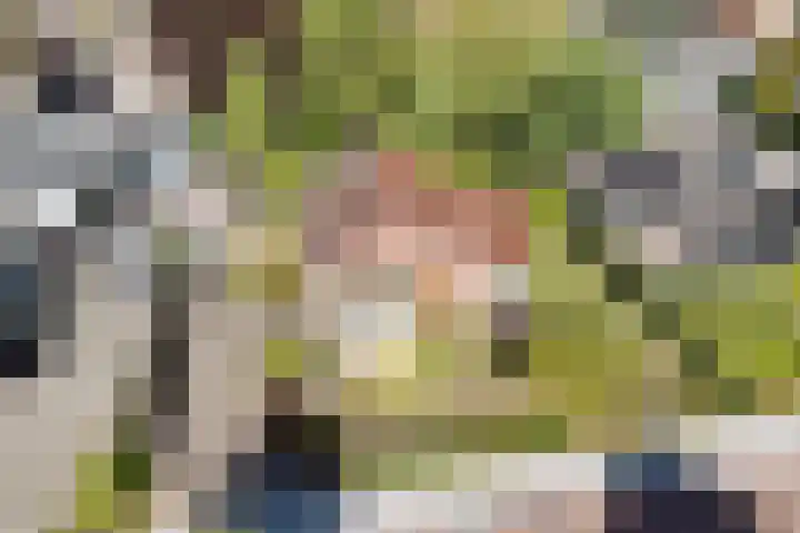Middenwal 5 Steenbergen thumbnail 26