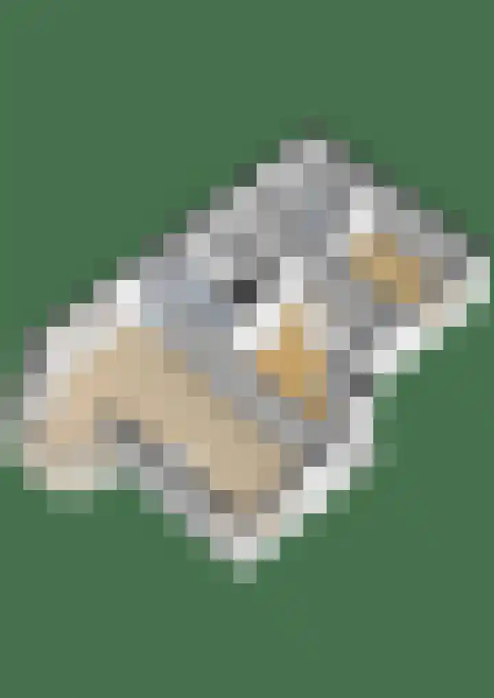 Middenwal 5 Steenbergen thumbnail 29