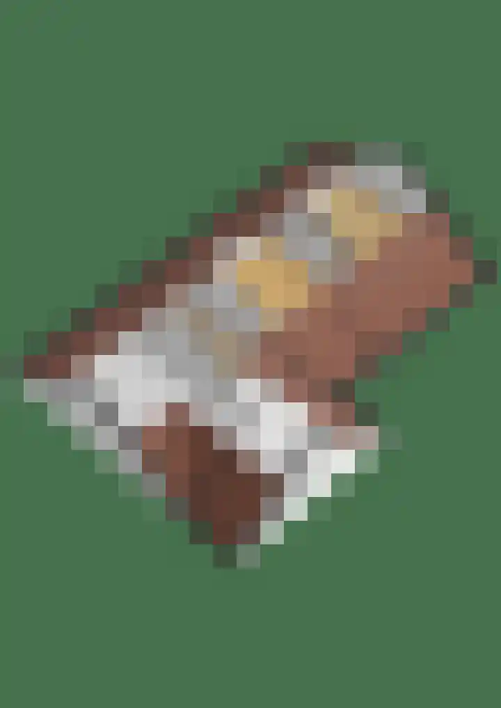 Middenwal 5 Steenbergen thumbnail 31