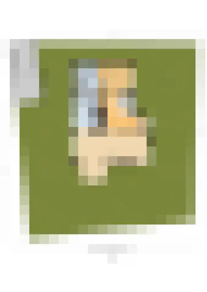 Middenwal 5 Steenbergen thumbnail 34