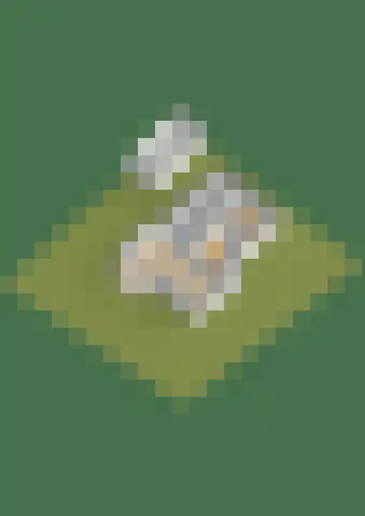 Middenwal 5 Steenbergen thumbnail 35