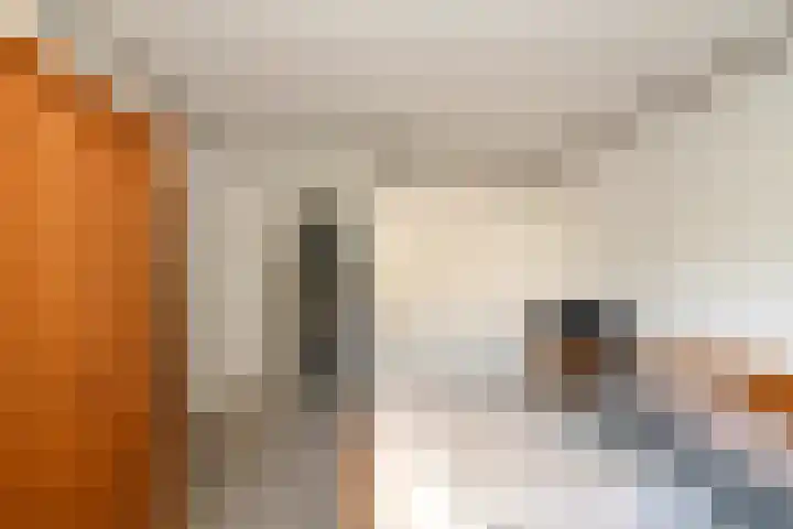 Middenwal 5 Steenbergen thumbnail 7