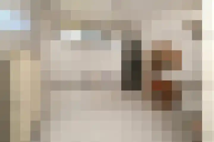 Middenwal 5 Steenbergen thumbnail 9