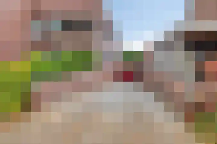 Middenweg 1 B6 Prinsenbeek thumbnail 34