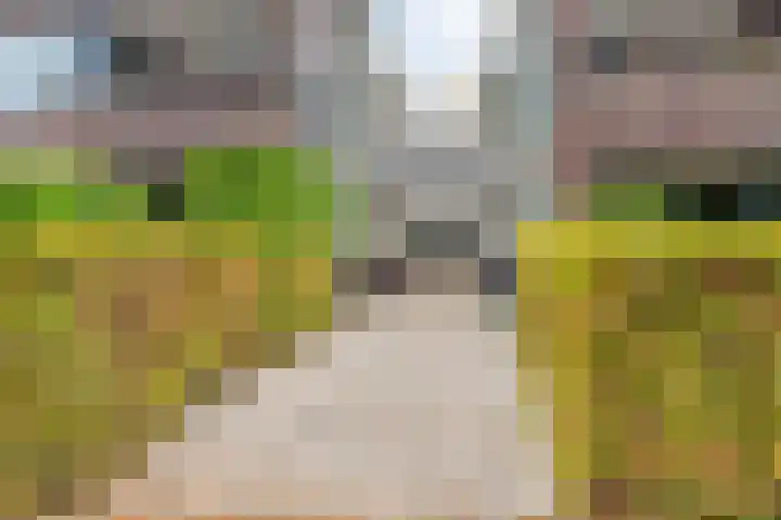 Middenweg 1 B6 Prinsenbeek thumbnail 6