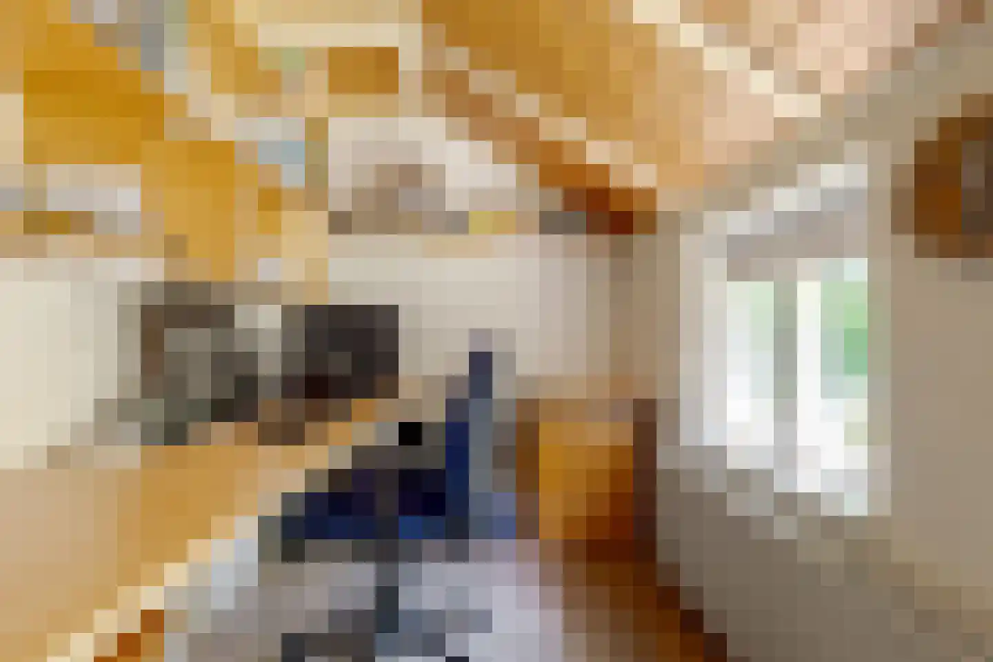 Middenweg 1 Boerakker thumbnail 33