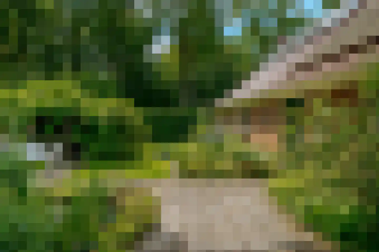 Middenweg 1 Boerakker thumbnail 63