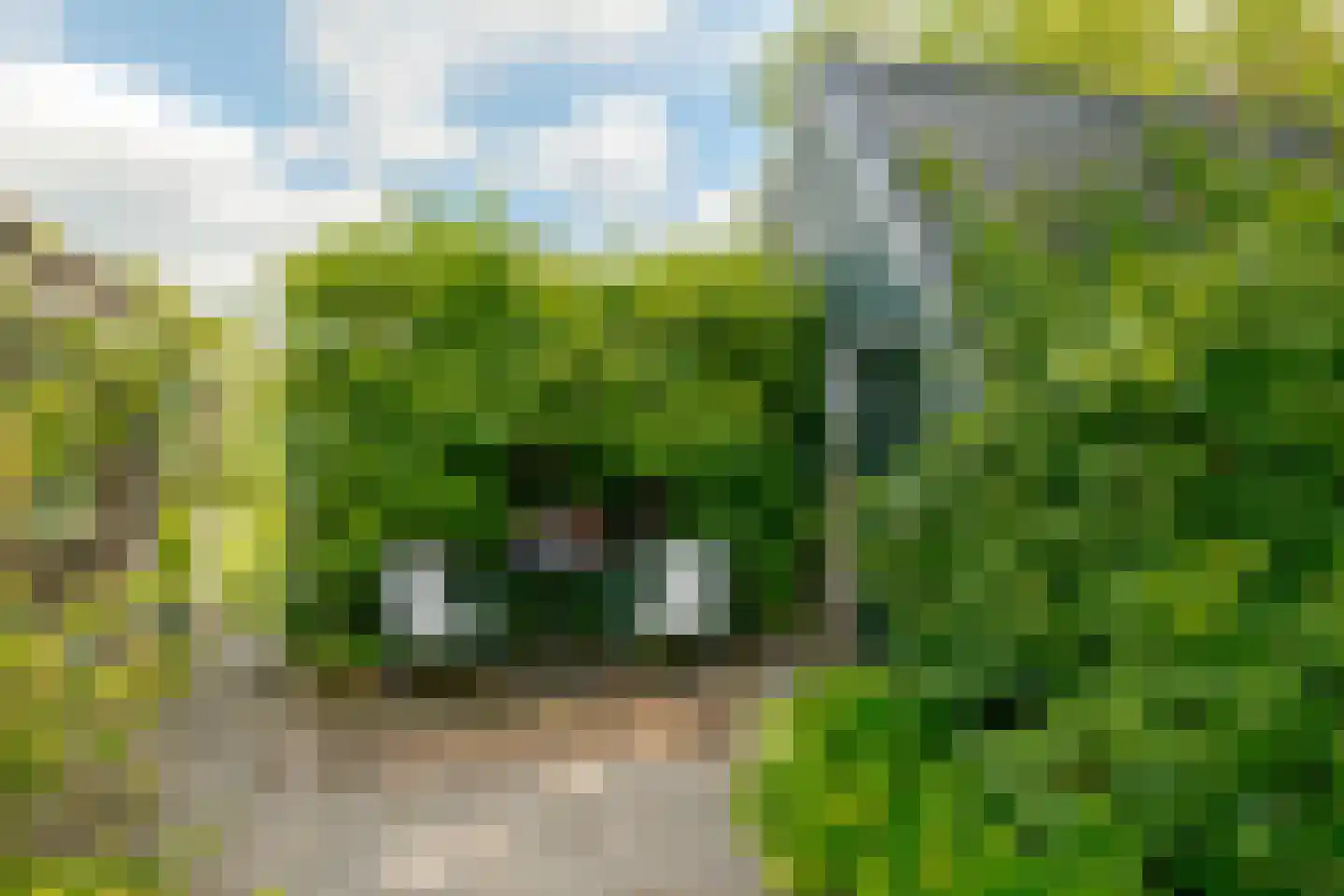 Middenweg 1 Boerakker thumbnail 65